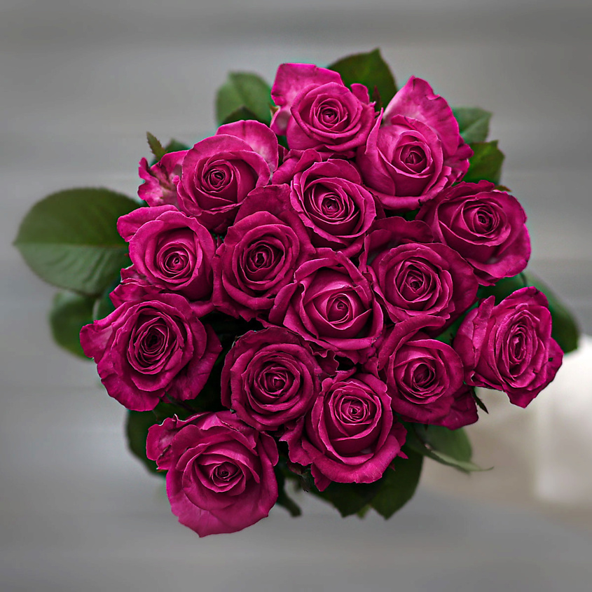 13 красных роз 60 см, Россия