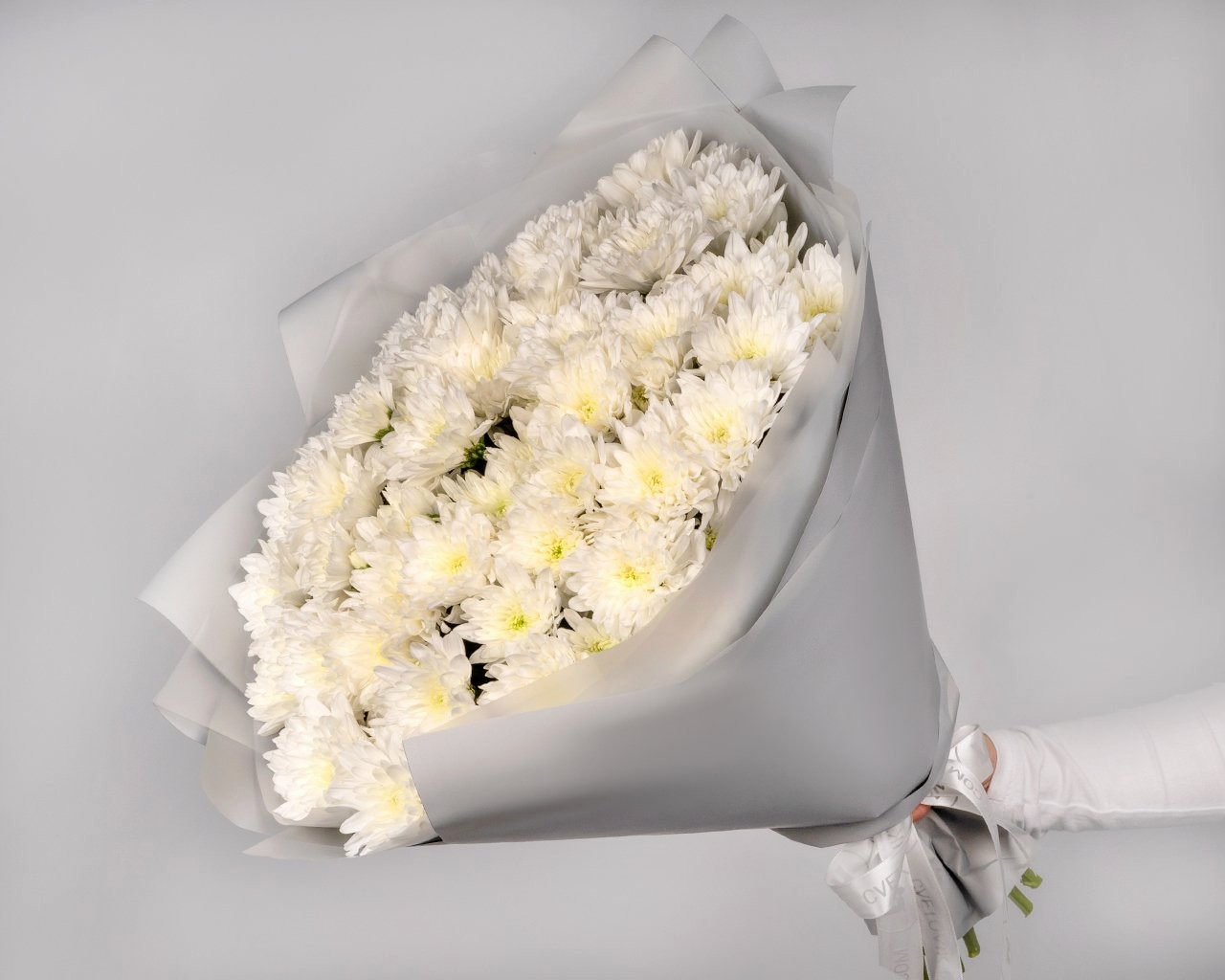 Букет из 15 кустовых белых хризантем в голубой пленке