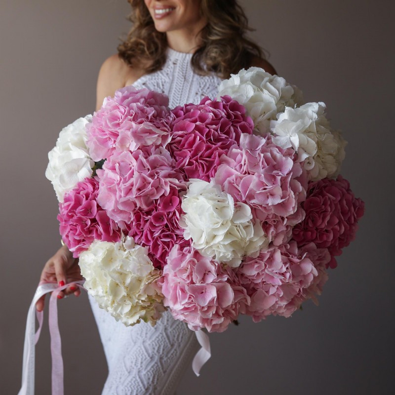 Букет из 19 бело-розовых гортензий «Шик»