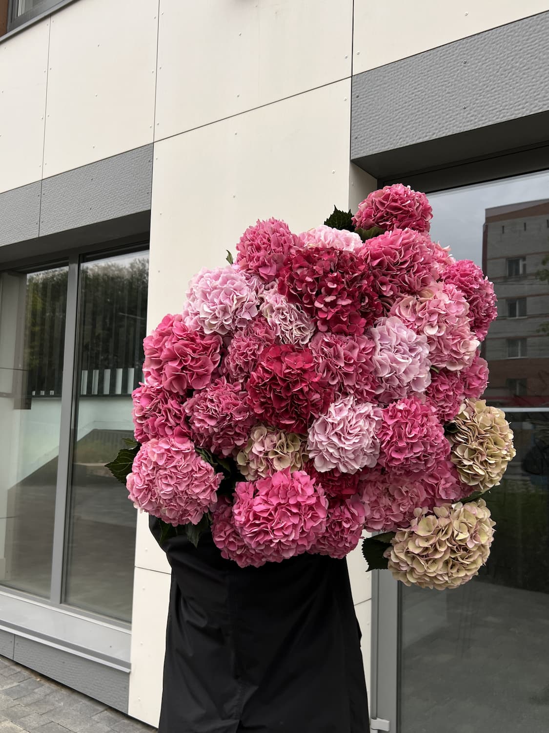 Букет из 3 розовых гортензий в крафте с лентой