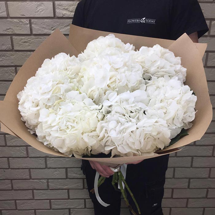 Букет из 5 белых гортензий в бежевой пленке