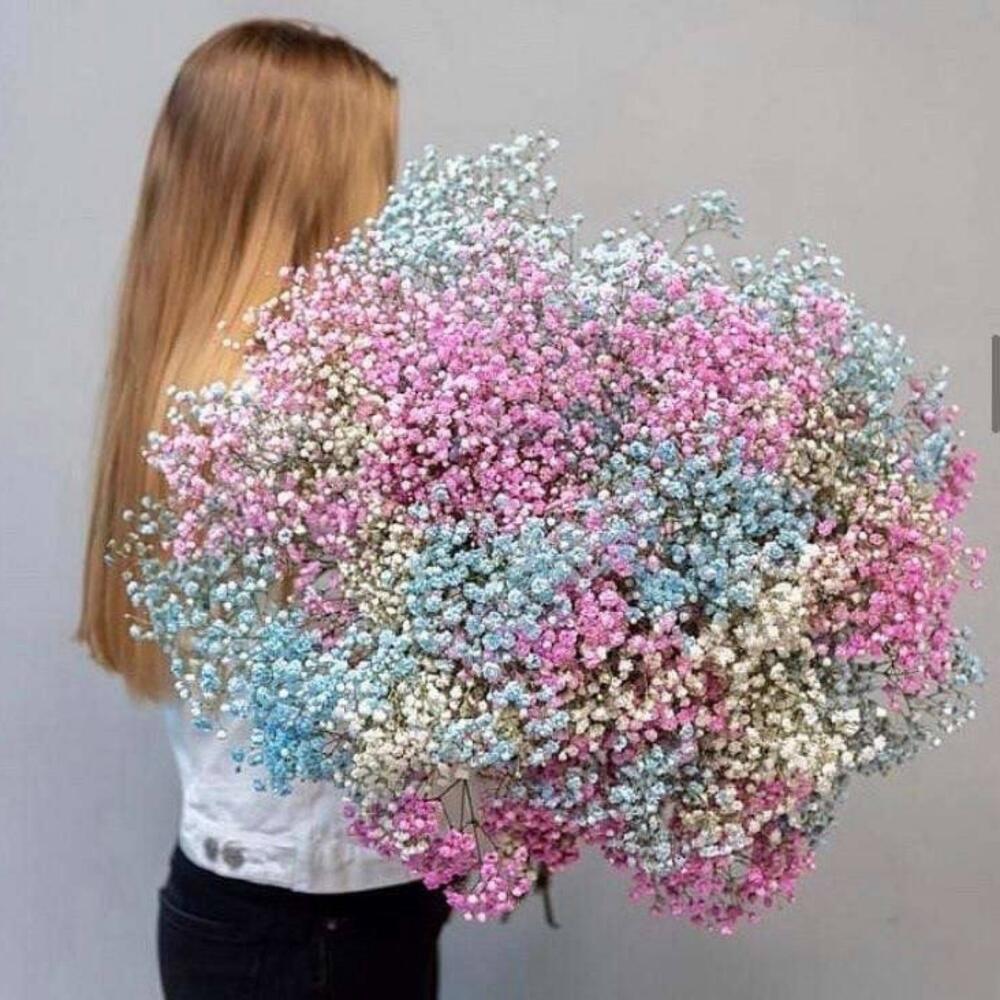 Шикарный букет из 3 радужных гипсофил